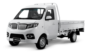 T30 Mini Truck CS 1.6 5MT ELT