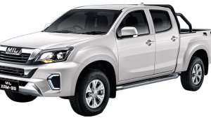 RE-MAX 4X2 AT DLX