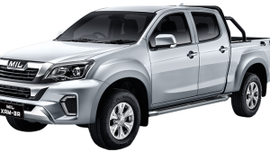 RE-MAX 4X2 AT DLX